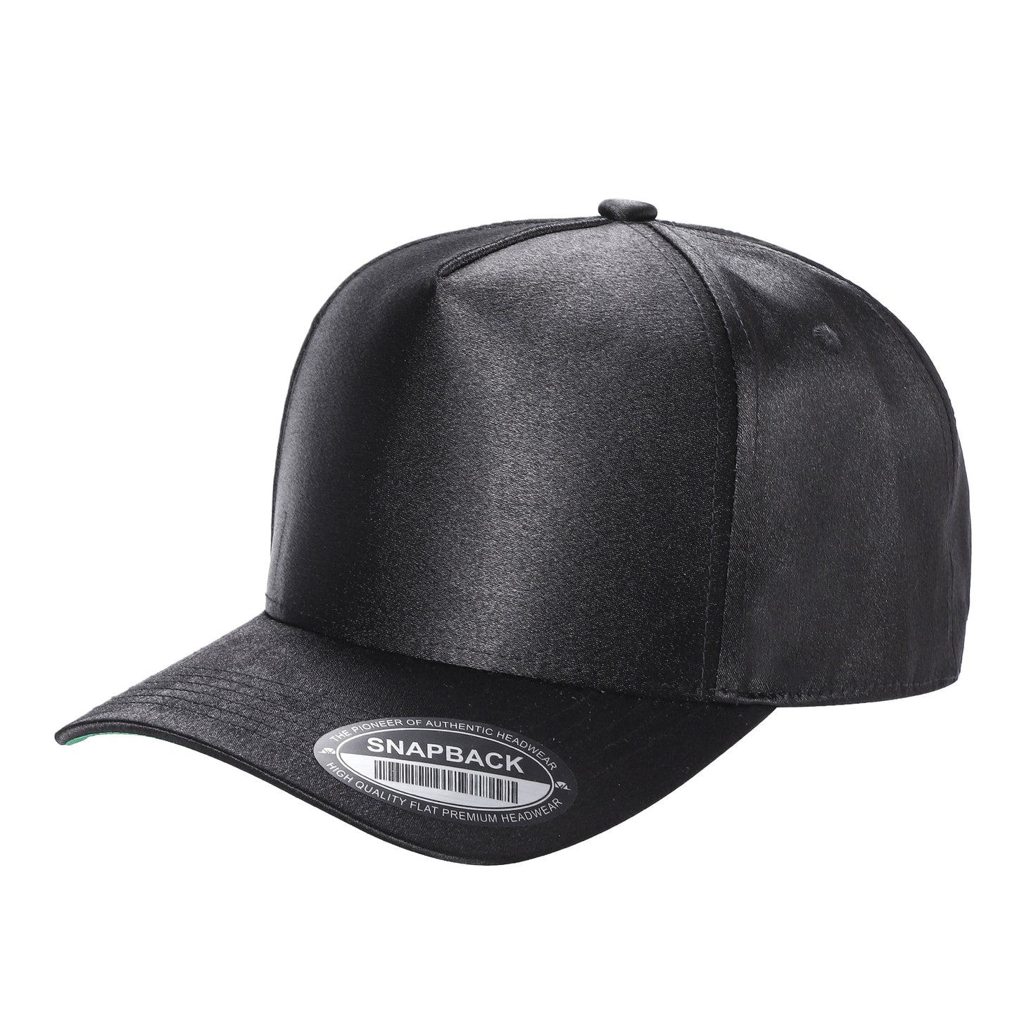 TCST - Satin Snapback
