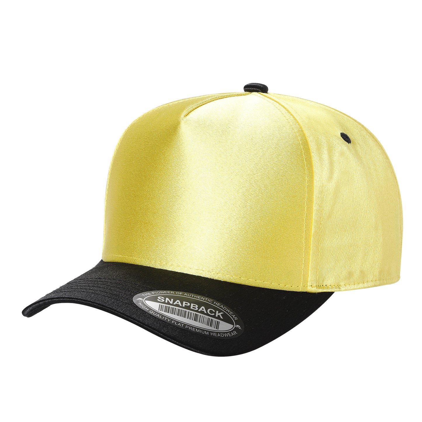 TCST - Satin Snapback