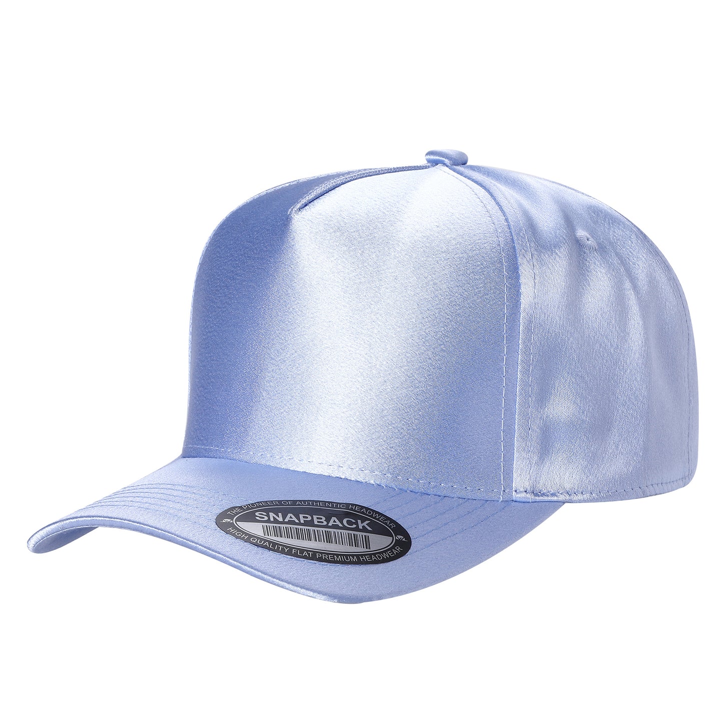 TCST - Satin Snapback