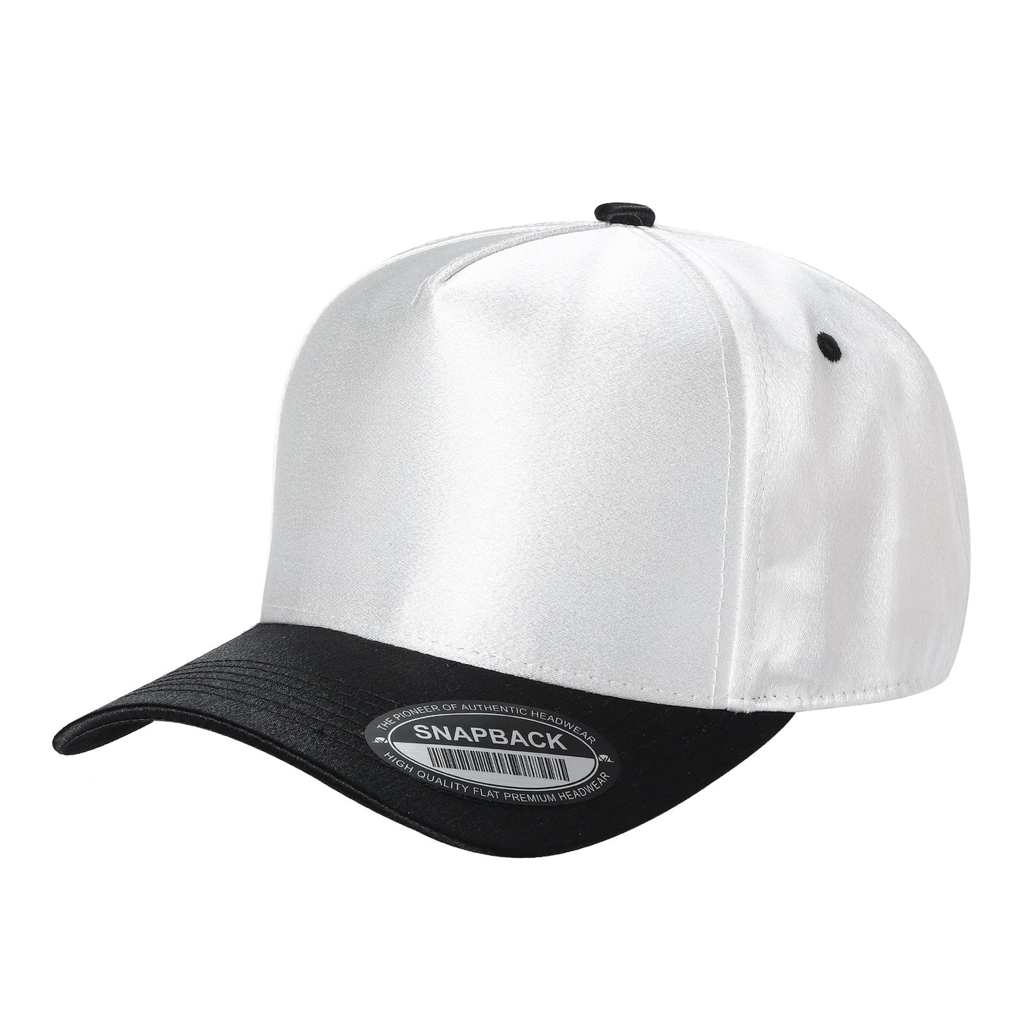 TCST - Satin Snapback