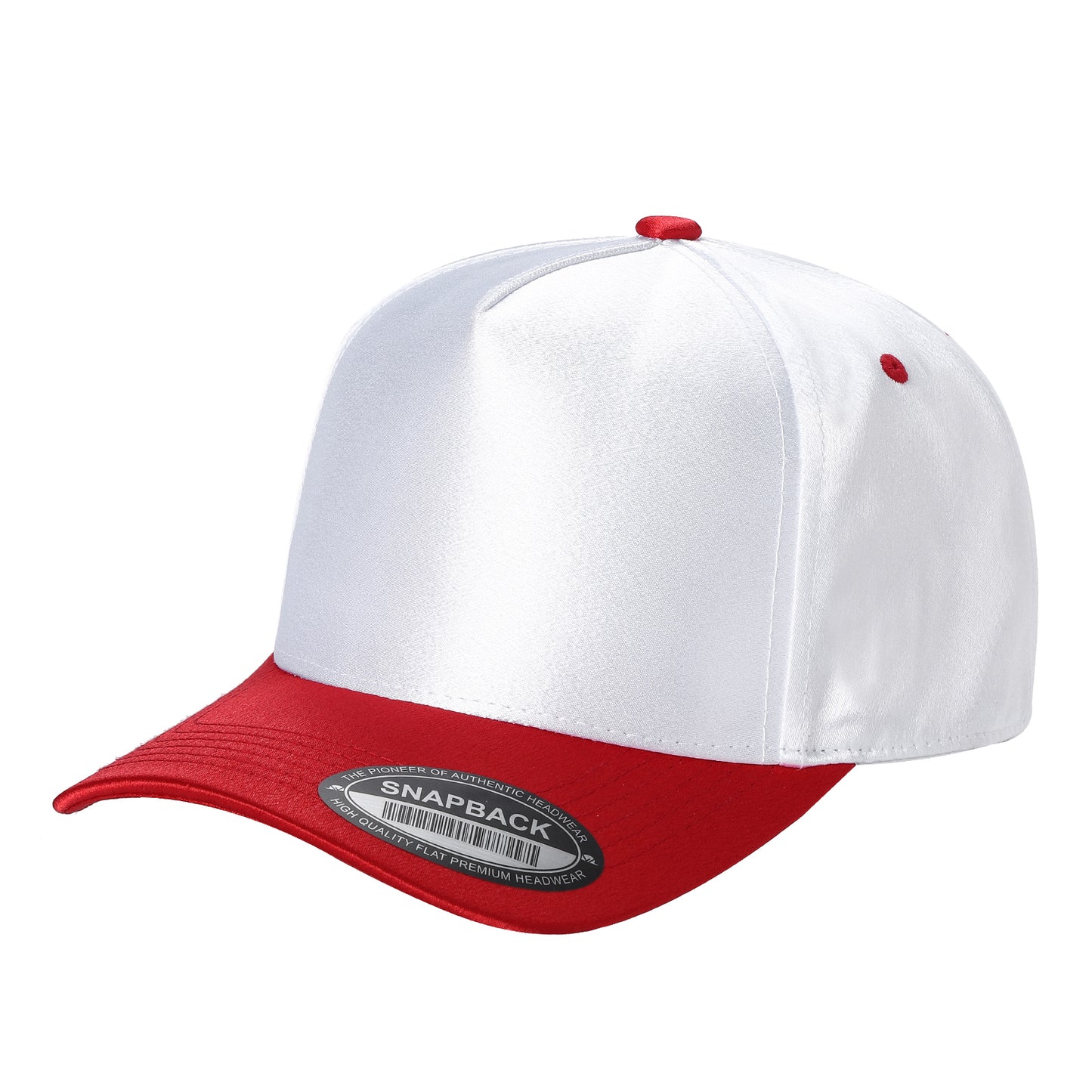 TCST - Satin Snapback